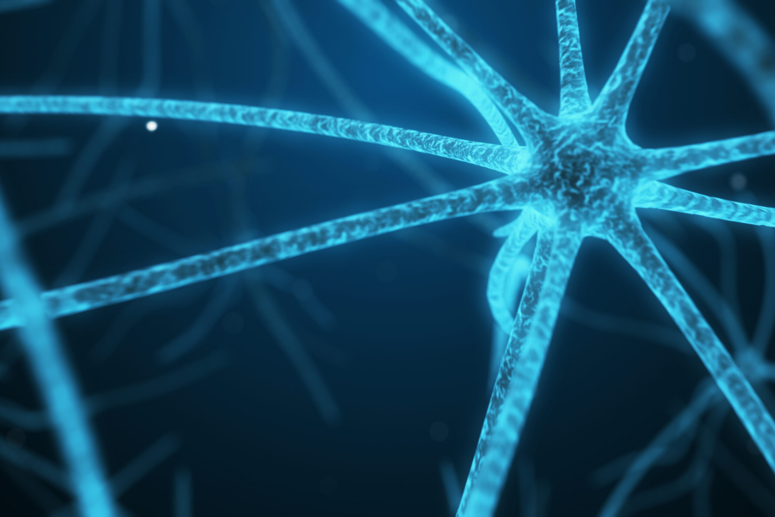 Spinal Cord Injury (SCI) Rehabilitation with Virtual Reality